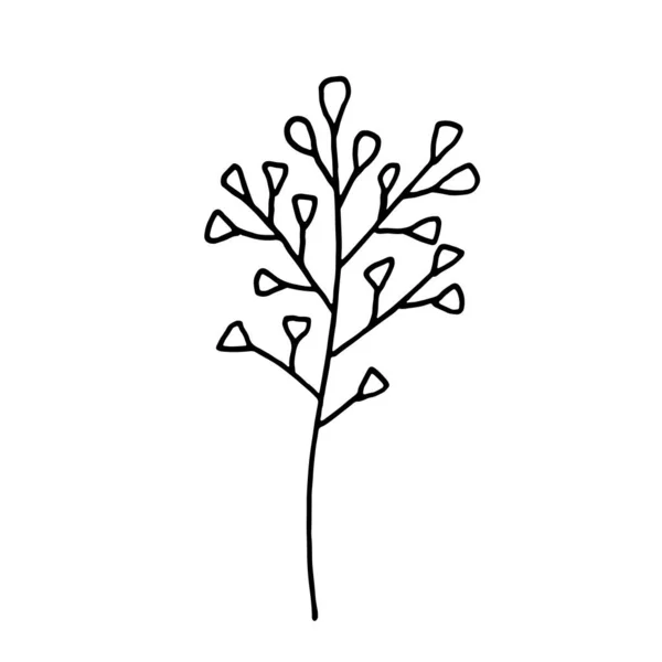 Galhos Inverno Secos Flores Bagas Esboço Preto Branco Ilustração Vetorial — Vetor de Stock
