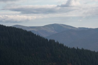 Ukrayna 'nın Karpat dağlarındaki Strymba Dağı yakınlarında sonbahar