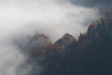 Ukrayna 'nın Karpat dağlarındaki Strymba Dağı yakınlarında sonbahar