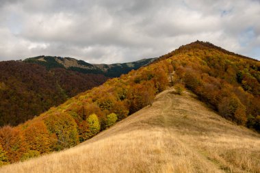 Ukrayna 'nın Karpat dağlarındaki Strymba Dağı yakınlarında sonbahar
