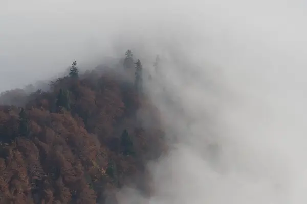 乌克兰喀尔巴阡山脉Strymba山附近秋天 — 图库照片
