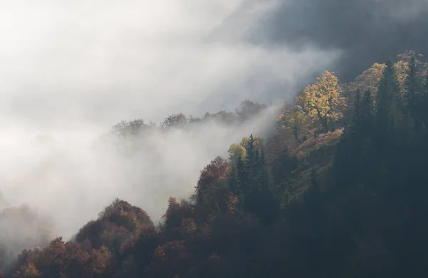 乌克兰喀尔巴阡山脉Strymba山附近秋天 — 图库照片