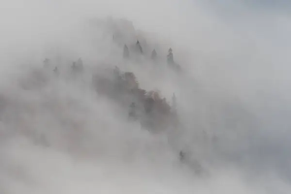 Toamna Lângă Muntele Strymba Din Munții Carpați Ucraina — Fotografie, imagine de stoc