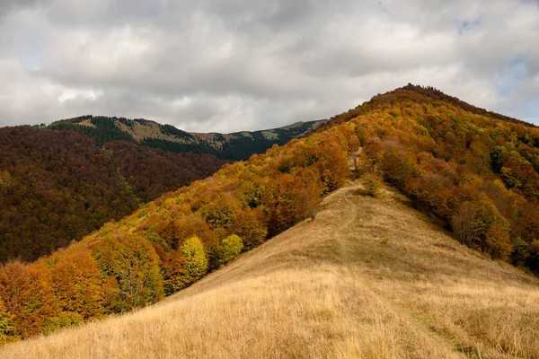 Ukrayna Nın Karpat Dağlarındaki Strymba Dağı Yakınlarında Sonbahar — Stok fotoğraf