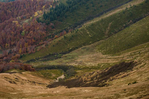 Ukrayna Nın Karpat Dağlarındaki Strymba Dağı Yakınlarında Sonbahar — Stok fotoğraf