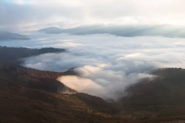 Musim Gugur Dekat Gunung Strymba Pegunungan Carpathia Ukraina — Stok Foto