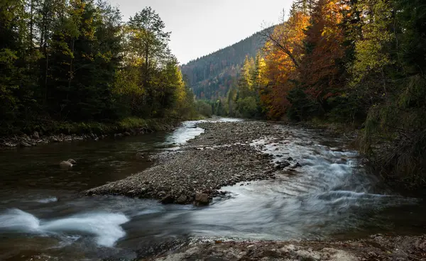 Ukrayna 'nın Karpat dağlarındaki Svitca dağı nehri.