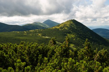 Karpat Dağları, Ukrayna 'daki Chornohora Dağları' nda yaz mevsimi