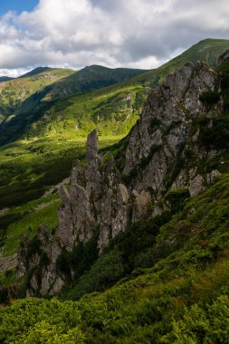 Karpat Dağları, Ukrayna 'daki Chornohora Dağları' nda yaz mevsimi