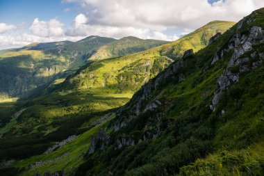 Karpat Dağları, Ukrayna 'daki Chornohora Dağları' nda yaz mevsimi