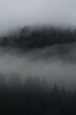 Ukrayna 'nın Karpat dağlarındaki Strymba Dağı yakınlarında sonbahar