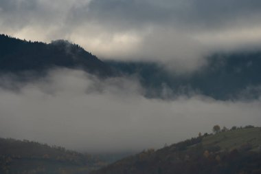 Ukrayna 'nın Karpat dağlarındaki Strymba Dağı yakınlarında sonbahar