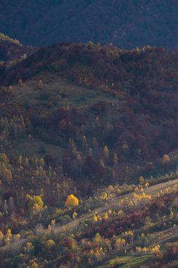 Ukrayna 'nın Karpat dağlarındaki Strymba Dağı yakınlarında sonbahar
