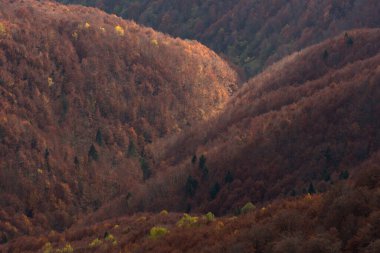 Ukrayna 'nın Karpat dağlarındaki Strymba Dağı yakınlarında sonbahar