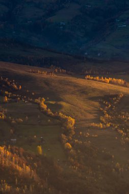 Ukrayna 'nın Karpat dağlarındaki Strymba Dağı yakınlarında sonbahar