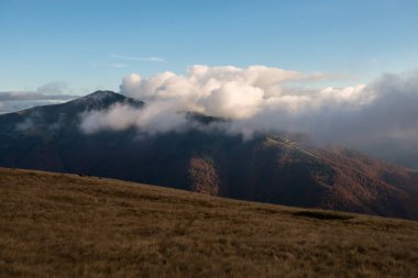 Ukrayna 'nın Karpat dağlarındaki Strymba Dağı yakınlarında sonbahar