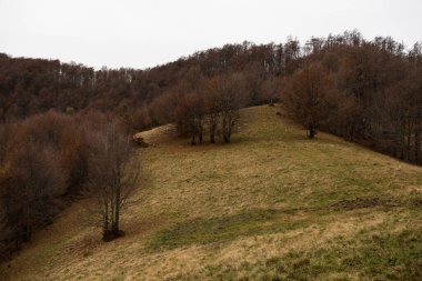 Ukrayna 'nın Karpat dağlarındaki Strymba Dağı yakınlarında sonbahar