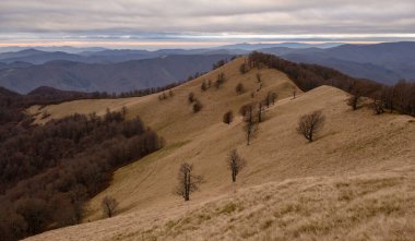 Ukrayna 'nın Karpat dağlarındaki Strymba Dağı yakınlarında sonbahar