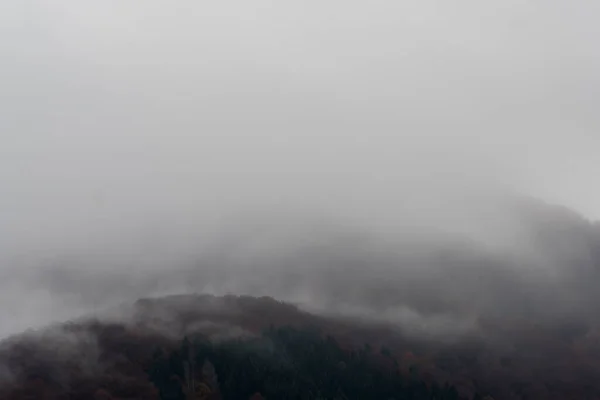 Herbst Der Nähe Von Strymba Den Karpaten Ukraine — Stockfoto