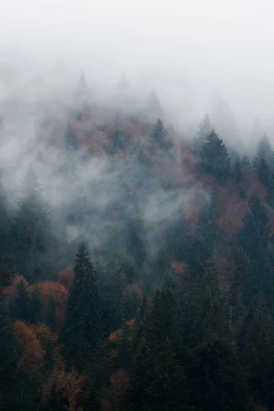 Hösten Nära Strymba Berg Karpaterna Ukraina — Stockfoto
