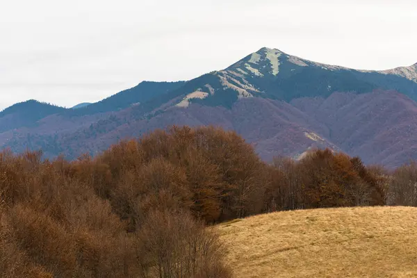 Otoño Cerca Montaña Strymba Las Montañas Cárpatos Ucrania — Foto de Stock