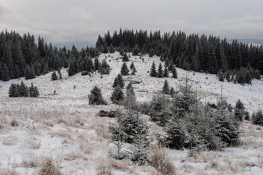 Kış manzarası, Ukrayna 'daki Karpat Dağları' nın Chornohora dağı yakınlarındaki Stayky Dağı 'nın çok vahşi bir yerinde.