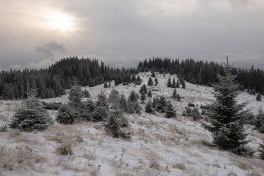 Kış manzarası, Ukrayna 'daki Karpat Dağları' nın Chornohora dağı yakınlarındaki Stayky Dağı 'nın çok vahşi bir yerinde.