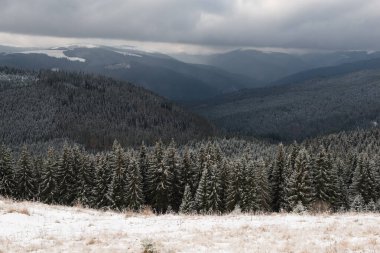 Kış manzarası, Ukrayna 'daki Karpat Dağları' nın Chornohora dağı yakınlarındaki Stayky Dağı 'nın çok vahşi bir yerinde.