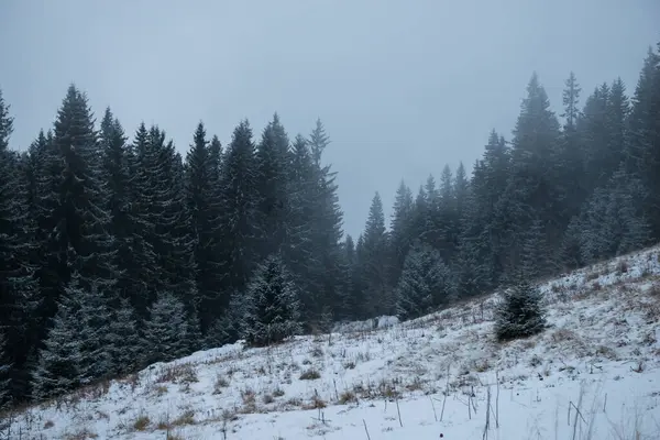 Paisaje Invernal Lugar Muy Salvaje Cerca Montaña Stayky Cordillera Chornohora — Foto de Stock