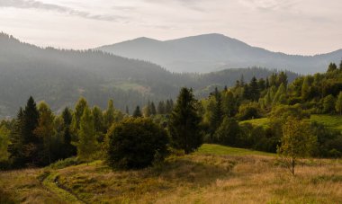 Ukrayna 'nın Slavsko kasabası yakınlarındaki Karpatlar' ın Beskid bölgesinde sonbahar mevsimi