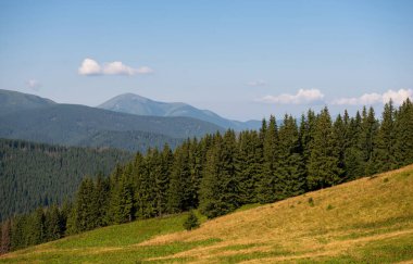 Karpat Dağları 'ndaki Chornohora Dağı' ndaki Petros Dağı, Ukrayna