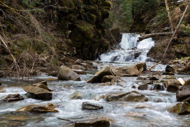 Kazarka Şelalesi, Ukrayna 'nın Karpat Dağları' nın Gorgany Dağları 'ndaki Arshytsya sırtı yakınlarındaki çok vahşi bir yerde ilkbaharın başlarında.
