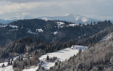 Ukrayna 'nın Karpat Dağları' ndaki Synevyr geçidinden Borzhava sırtına kış manzarası