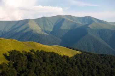 Borzhava 'da yaz mevsimi Karpat Dağları, Ukrayna