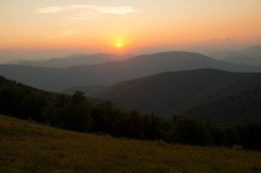 Borzhava 'da yaz mevsimi Karpat Dağları, Ukrayna