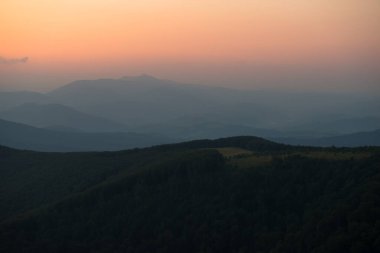 Borzhava 'da yaz mevsimi Karpat Dağları, Ukrayna