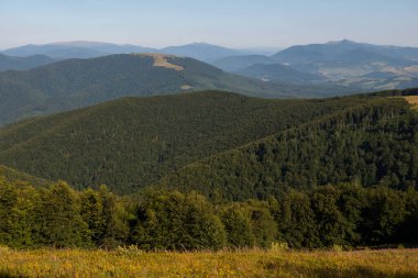 Borzhava 'da yaz mevsimi Karpat Dağları, Ukrayna