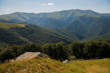 Borzhava 'da yaz mevsimi Karpat Dağları, Ukrayna