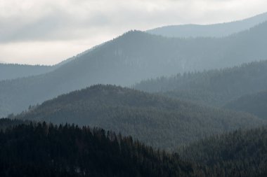 Winter view of Carpathian Mountains near Vorokhta town, Ukraine clipart