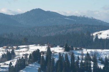Ukrayna 'nın Vorokhta kasabası yakınlarındaki Karpat Dağları' nın kış manzarası