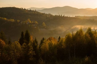 Ukrayna 'nın Slavsko kasabası yakınlarındaki Karpatlar' ın Beskid bölgesinde sonbahar mevsimi