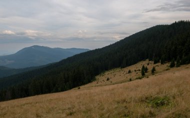 Ukrayna 'nın Karpat dağlarındaki Kukul tepesinden sonbahar manzarası