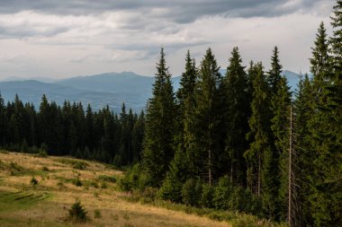 Ukrayna 'nın Karpat dağlarındaki Kukul tepesinden sonbahar manzarası