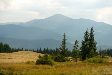 Ukrayna 'nın en yüksek dağı olan Hoverla dağı Karpat dağlarındaki Chornohora dağ sırtında, Kukul sırtı manzaralı.