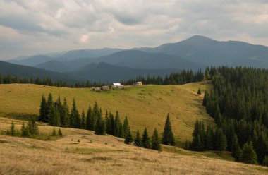 Ukrayna 'nın Karpat dağlarındaki Kukul sırtında sonbaharın başlarında
