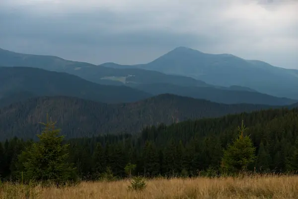 Petros mountain on Chornohora mountain ridge in Carpathian mountains, view from the Kukul ridge, Ukraine