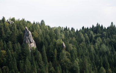 Urych Rocks yazın Karpat Dağları, Ukrayna manzaralı