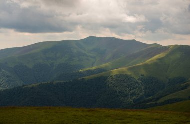 Borzhava 'da yaz mevsimi Karpat Dağları, Ukrayna