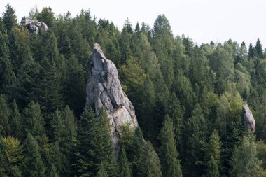 Urych Rocks yazın Karpat Dağları, Ukrayna manzaralı