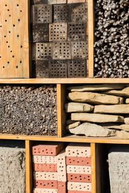 Baharda botanik bahçelerinde böcek oteli, Barselona, İspanya